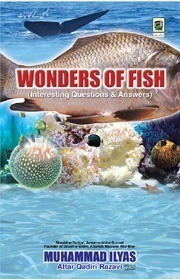 Wonders of Fish - Interesting Questions & Answers 